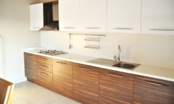 Aliquam erat volutpat