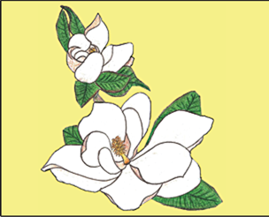 emmas_place_franklin_north_carolina_logo